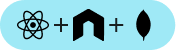 SaaS Web Platform Developers