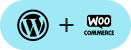 WordPress Developers
