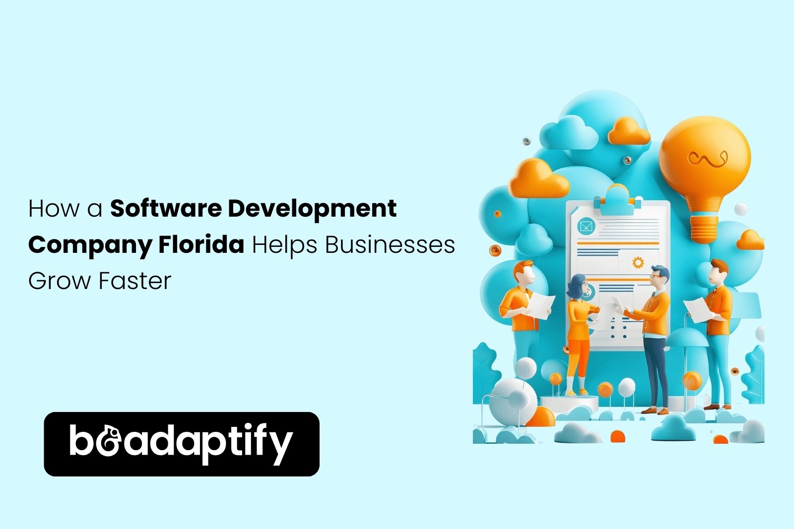 Software Development Company Florida