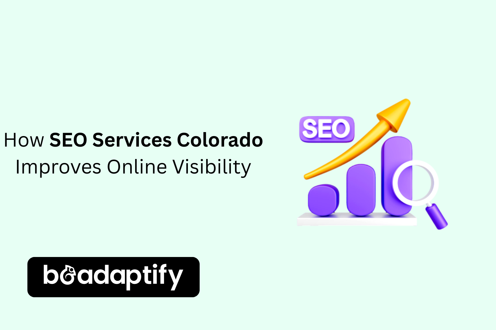 SEO Services Colorado