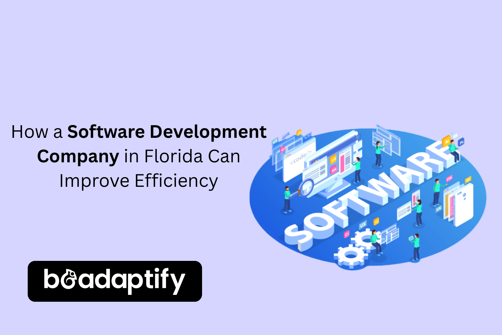 Software Development Company in Florida
